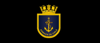 armadadechile